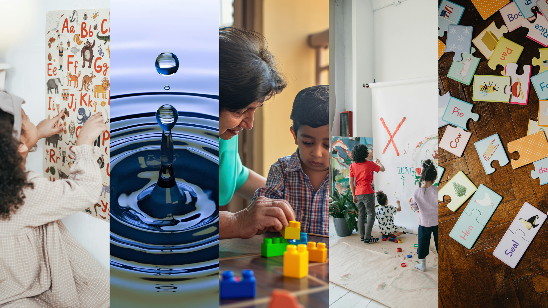 NurtureTrail Collage